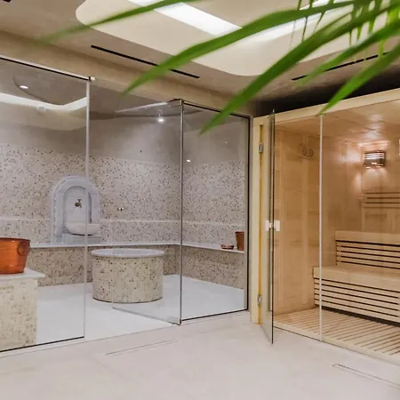 赛格公寓式酒店 酒店 Agia Marina