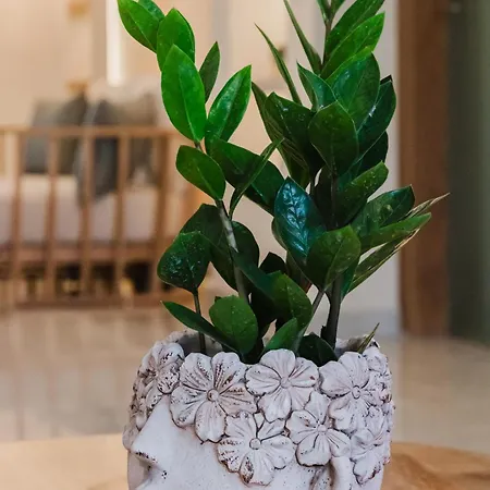 赛格公寓式酒店 酒店 Agia Marina